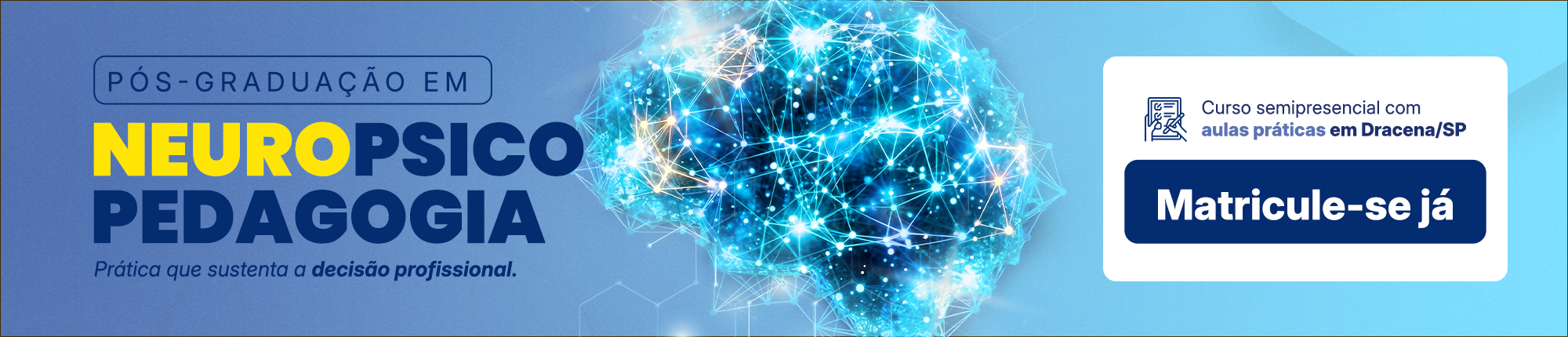 Neuropsicopedagogia